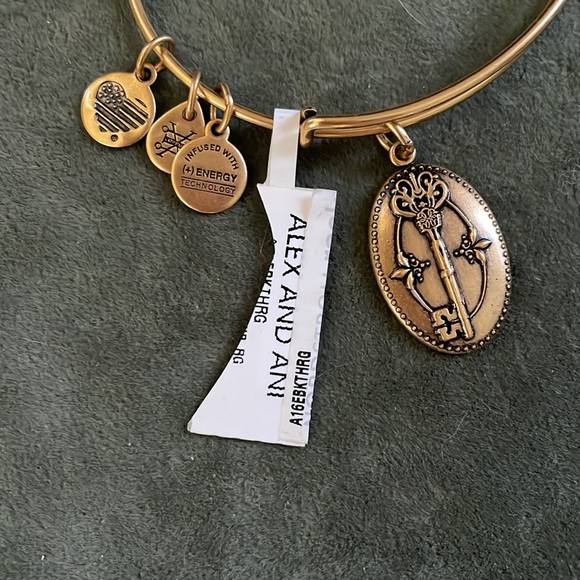 NEW in box Alex and Ani Key to Life Gold bracelet never worn - Picture 2 of 3